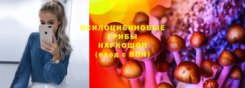 Галлюциногенные грибы Psilocybine cubensis  Верхняя Салда 